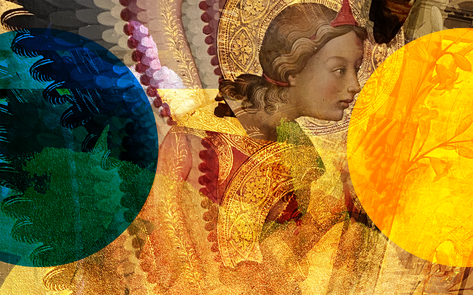 claudiapalmira-122025iconic